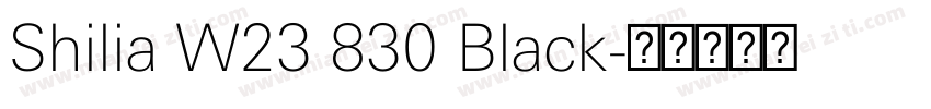 Shilia W23 830 Black字体转换